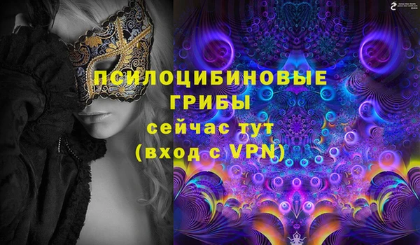 мет Белокуриха