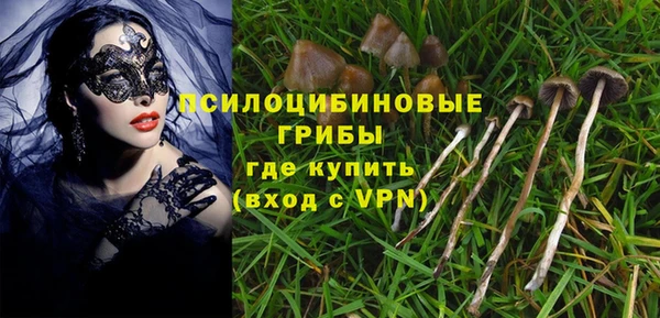 мет Белокуриха