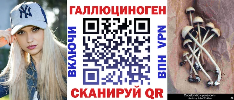 Псилоцибиновые грибы Psilocybine cubensis  как найти наркотики  Вязьма 